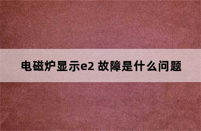 电磁炉显示e2 故障是什么问题